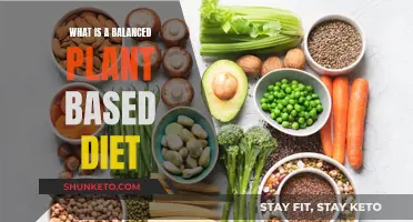 Plant-Based Diet: Balancing Your Nutrition