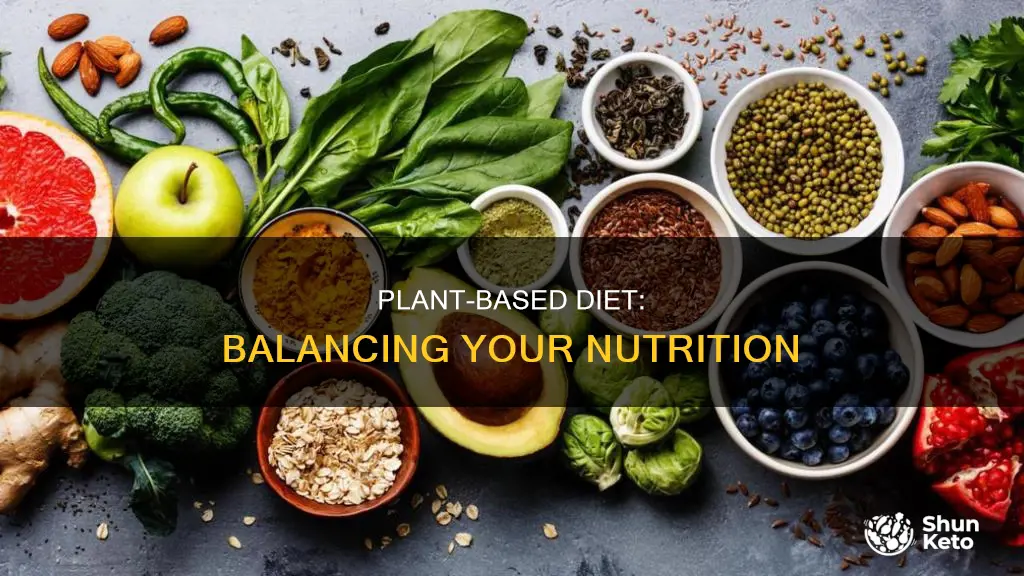 what is a balanced plant based diet