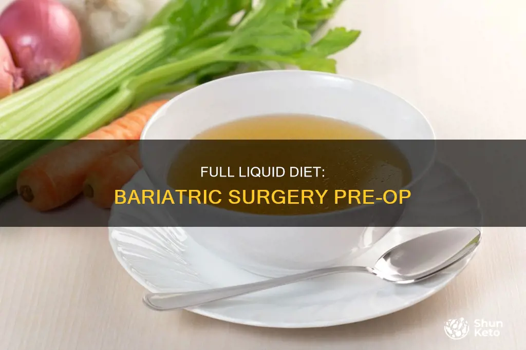 what is a bariatric full liquid diet