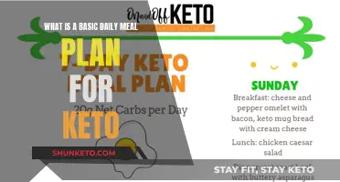 Keto Diet Basics: A Simple Daily Meal Plan