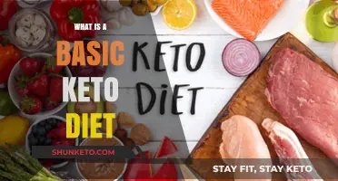 Understanding the Basics of a Keto Diet for Beginners