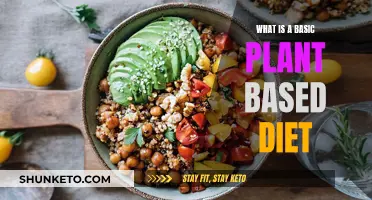 Plant-Based Diet Basics: Getting Started on Your Plant Journey