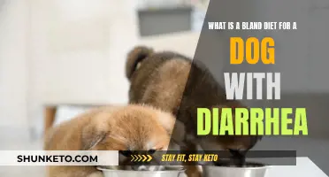 Bland Diet: A Dog's Relief from Diarrhea