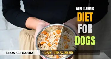Bland Diet for Dogs: What, When, and How?