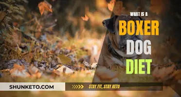 Boxer Dog Diet: Nutritional Needs and Feeding Guide