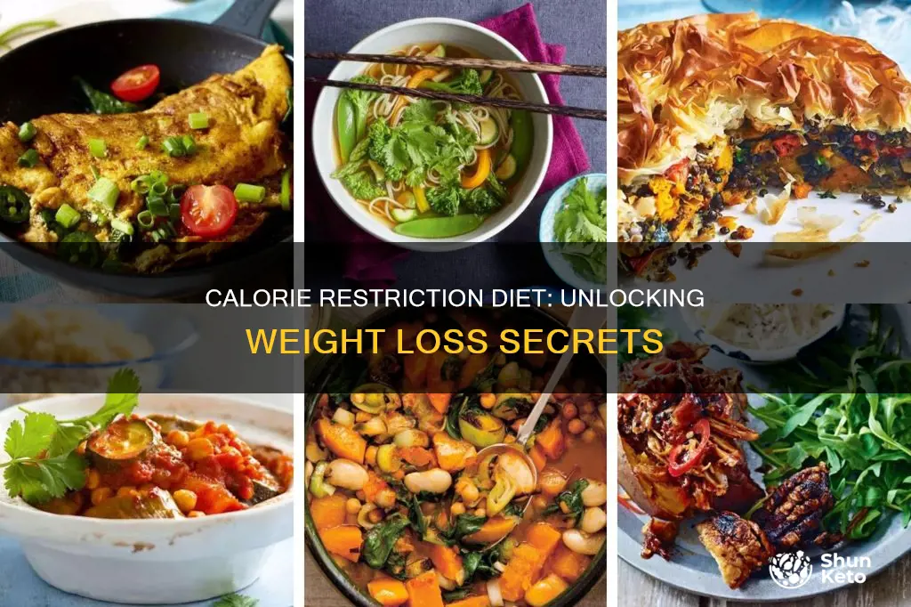 what is a calorie restriction diet plan