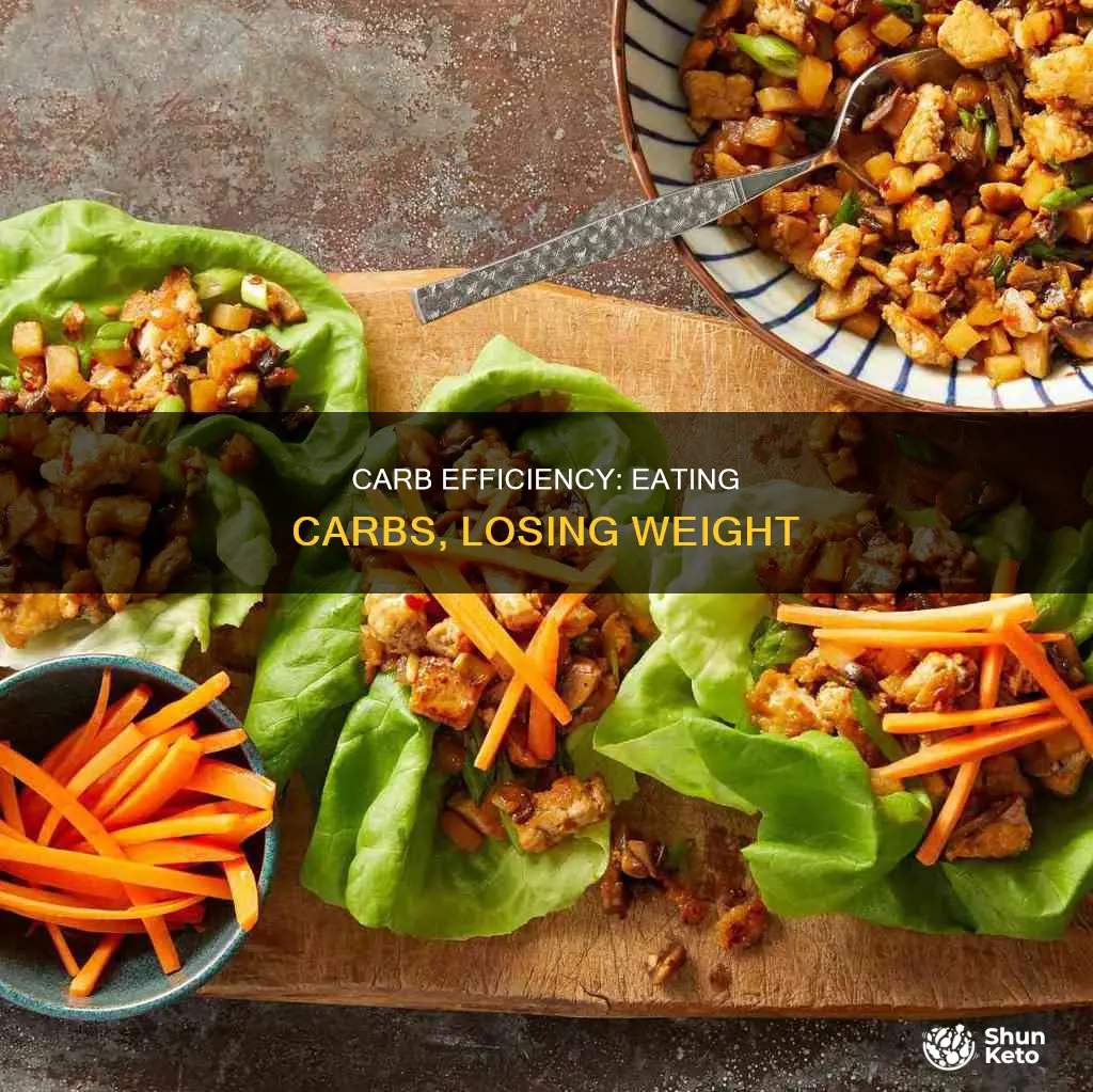 what is a carb efficient diet