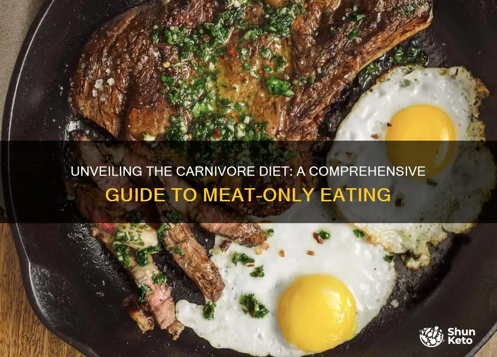 what is a carnivore diet plan