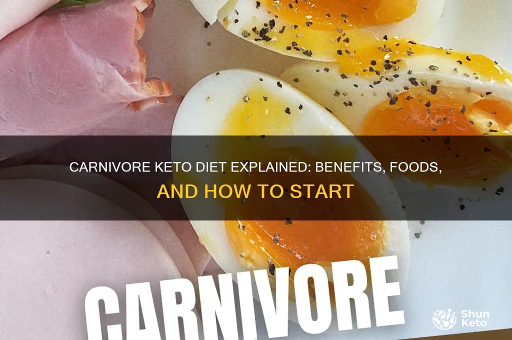what is a carnivore keto diet