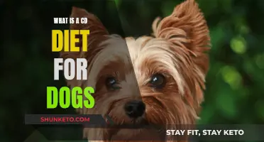 CD Diet for Dogs: What, Why, and How?