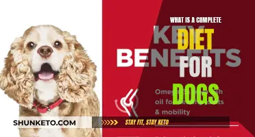 A Balanced Diet for Dogs: What You Need to Know