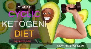 Ketogenic Cyclic Diet: An Effective Weight Loss Strategy?