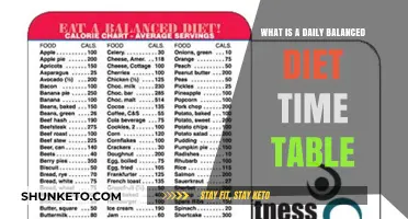 A Balanced Diet: Your Daily Timetable