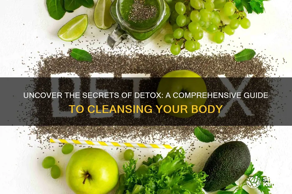 what is a detox diet plan