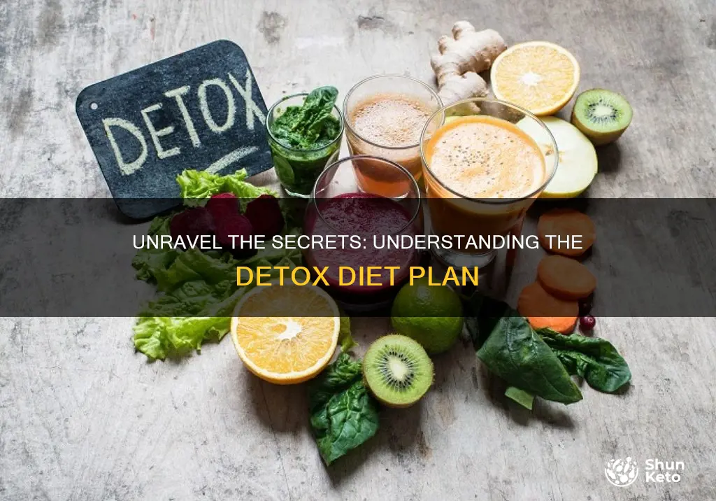 what is a detxo diet plan