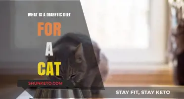 Managing Your Cat's Diabetes Through Diet