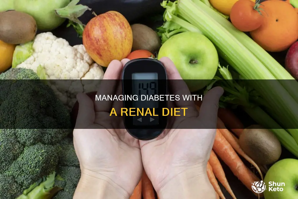 what is a diabetic renal diet