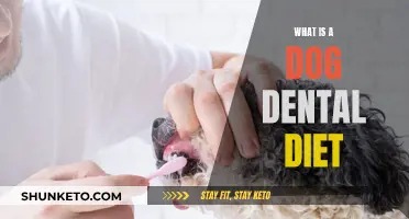 Dog Dental Diet: What to Feed for Healthy Teeth