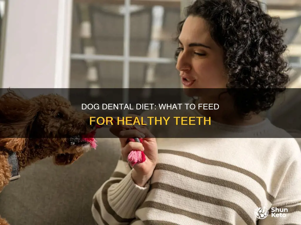 what is a dog dental diet