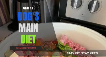 A Dog's Diet: What's on the Menu?