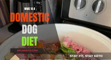 Understanding a Domestic Dog's Diet: What to Feed Your Pet