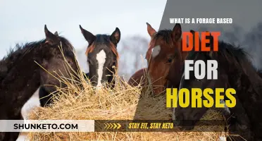 Forage-Based Diets: Natural Nutrition for Horses