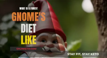 Mystical Diet of Forest Gnomes: A Magical Menu