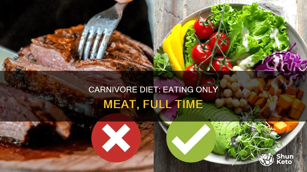 what is a full carnivore diet