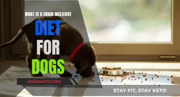 Grain-Inclusive Dog Food: What You Need to Know