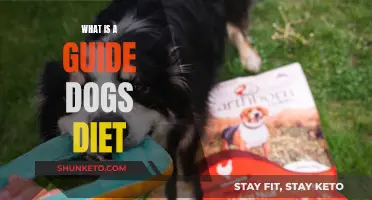 A Guide Dog's Diet: What You Need to Know