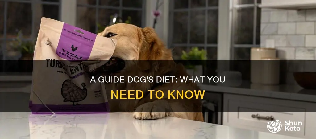 what is a guide dogs diet