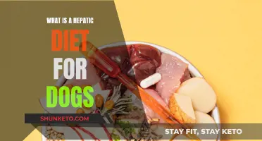 Hepatic Diet for Dogs: What You Need to Know