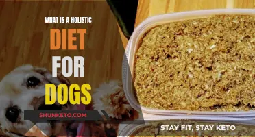 A Balanced Diet for Your Dog's Holistic Health