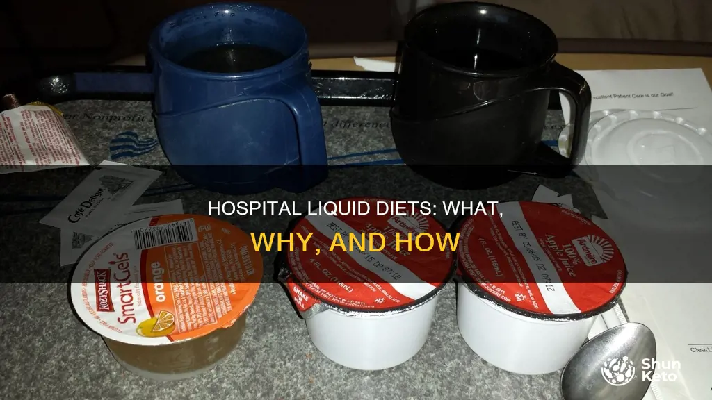 what is a hospital liquid diet