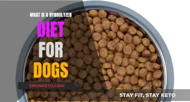 The Benefits of Hydrolyzed Protein Diets for Dogs