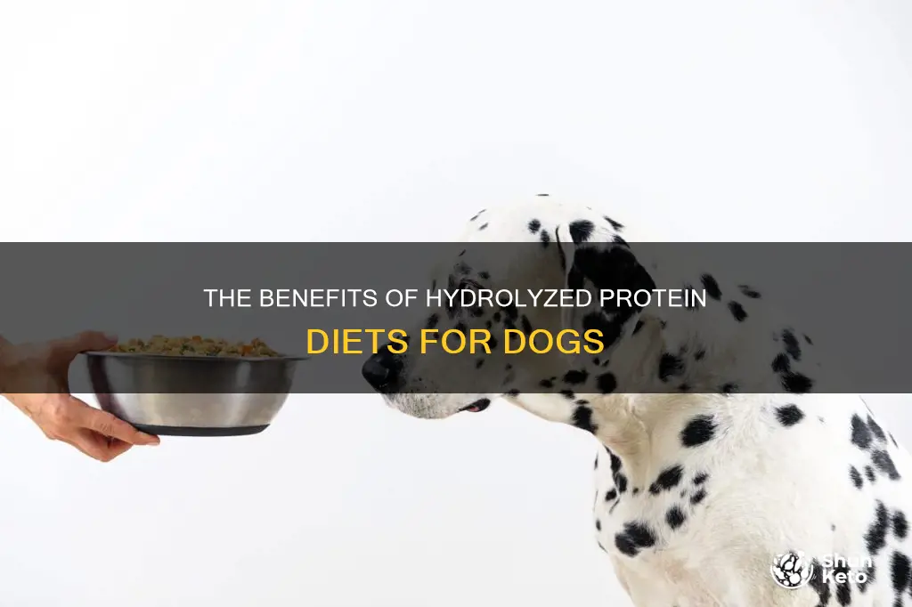 what is a hydrolyzed diet for dogs