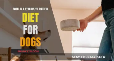 The Benefits of Hydrolyzed Protein Diet for Dogs