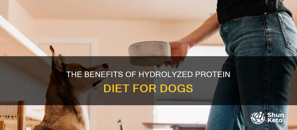 what is a hydrolyzed protein diet for dogs