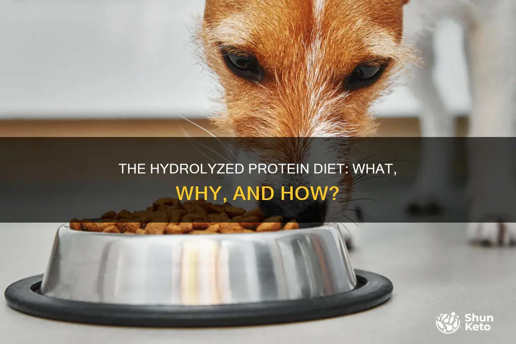 what is a hydrolyzed protein diet