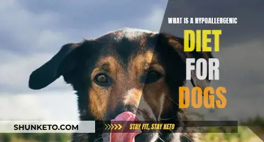 Hypoallergenic Diet for Dogs: Understanding the Basics