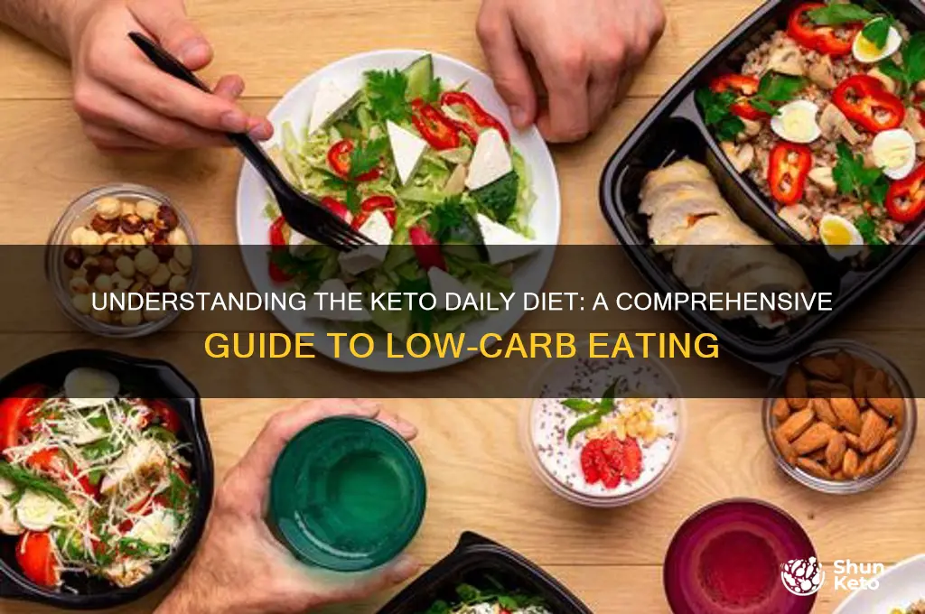 what is a keto daily diet
