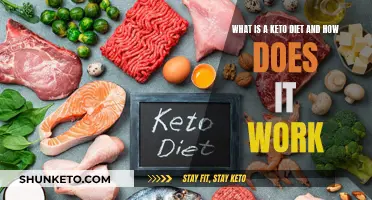 Keto Diet: Understanding the Basics of This High-Fat Eating Plan