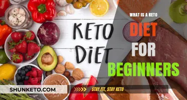 Understanding the Keto Diet: A Beginner's Guide to Low-Carb Eating