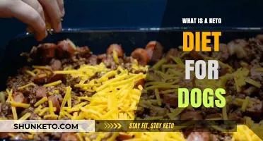 Keto Diet for Dogs: Benefits, Risks, and Implementation Guide
