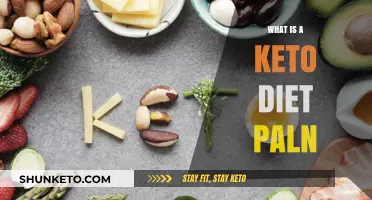 Understanding the Keto Diet Plan: A Comprehensive Guide to Low-Carb Eating