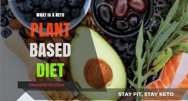 Exploring the Keto Plant-Based Diet: Benefits, Foods, and Tips