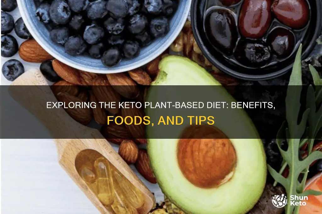 what is a keto plant based diet