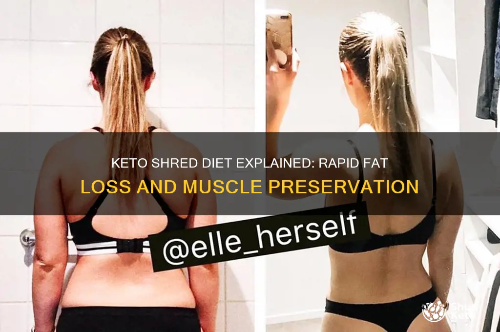 what is a keto shred diet