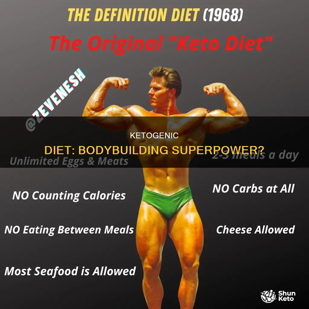what is a ketogenic diet bodybuilding