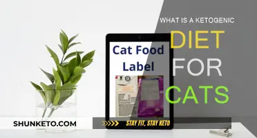 Ketogenic Diet for Cats: What You Need to Know